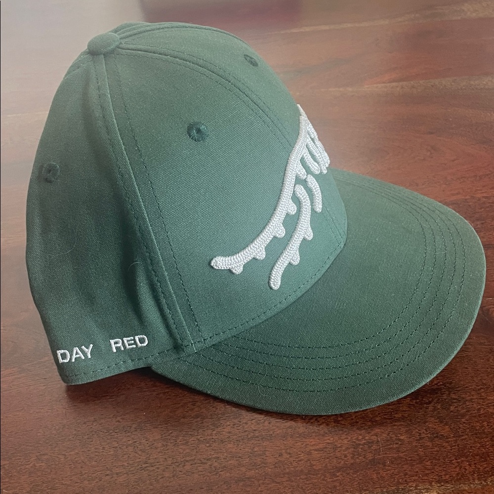 Sun Day Red Hat - image 3